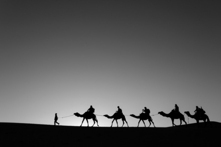 骆驼商队经历沙漠的黑色和白色图片