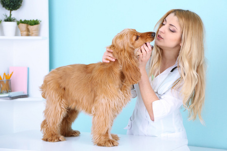 美丽的年轻女兽医检查狗在诊所
