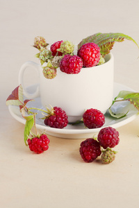 树莓在白杯
