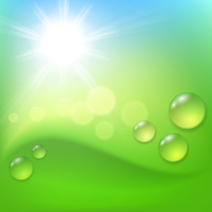 用滴露水和太阳的绿色抽象背景图片