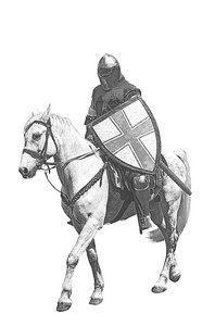 白色战马的装甲的骑士图片