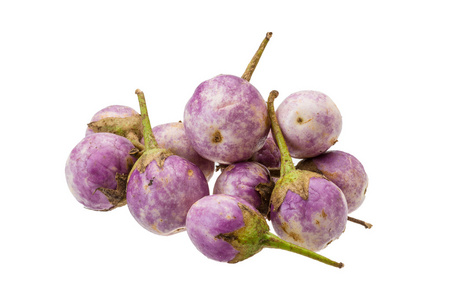 Asie aubergine violette亚洲的紫茄子