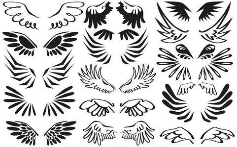 翅膀的文字符号图片