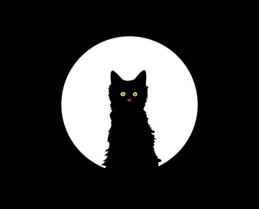 小猫在月光下