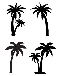 热带棕榈树设置图标黑色的轮廓矢量它制作图案