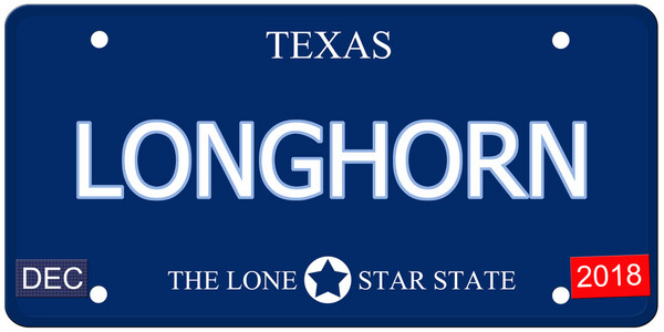 longhorn 德克萨斯仿车牌