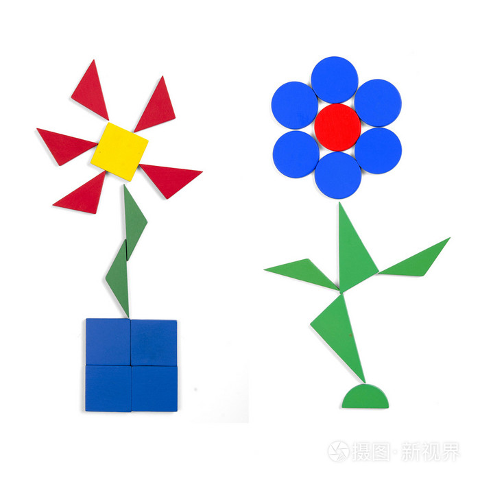 两朵花的几何图形