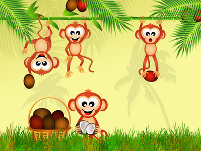 猴子吃椰子