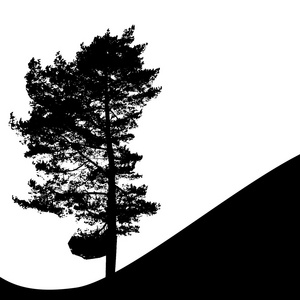 树上白色 backgorund 孤立的剪影。vecrtor illustrati