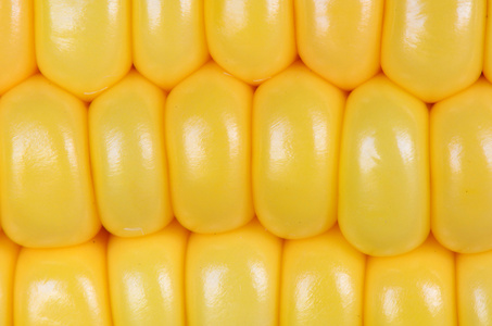 黄玉米的背景下，抽象背景的照片