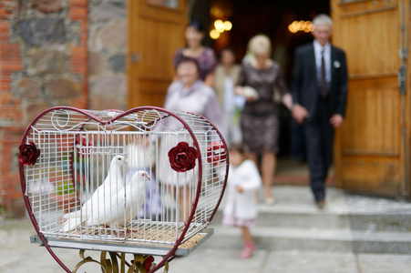 两个婚礼上的鸽子作为爱情象征图片