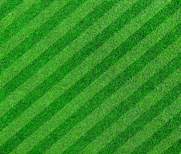 绿草内衬橄榄球或足球场