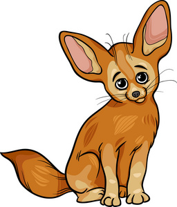 fennec 狐狸动物卡通插图