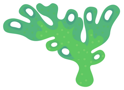 绿色珊瑚