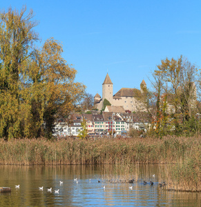 rapperswil 欧伯湖湖 秋