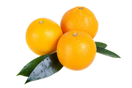 用树叶孤立的白色背景上的橙色水果