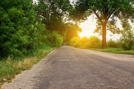 树木 道路 湖和太阳