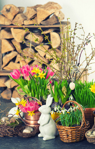复活节兔子 鸡蛋和鲜花装饰