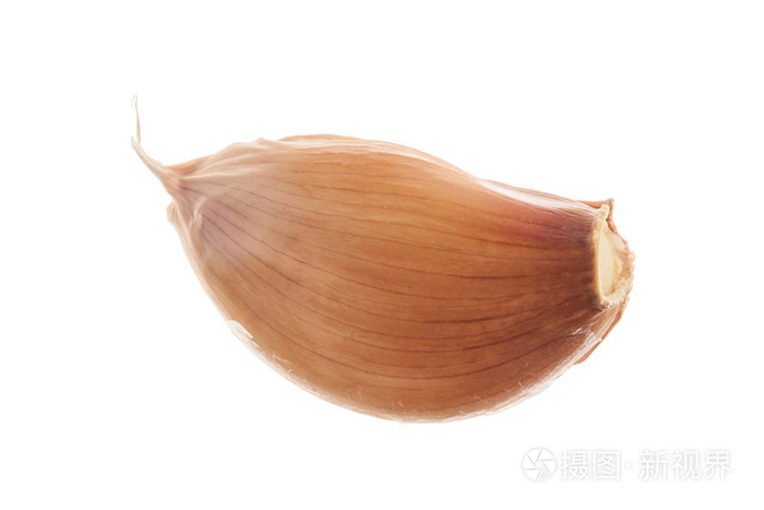 单瓣大蒜白色背景上的孤立特写