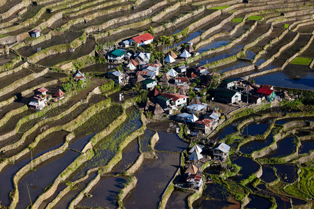 菲律宾水稻梯田