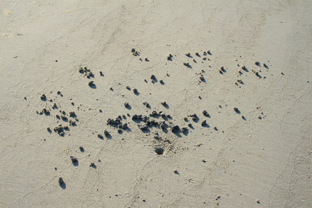 沙滩上的沙子纹理用于背景