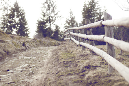 道路