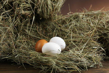 鸡蛋吃干草，棕色背景