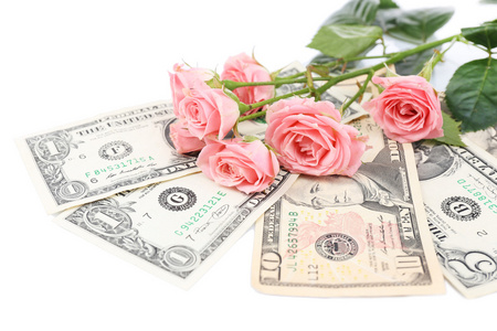 美丽的玫瑰和白色衬底上分离出的钱