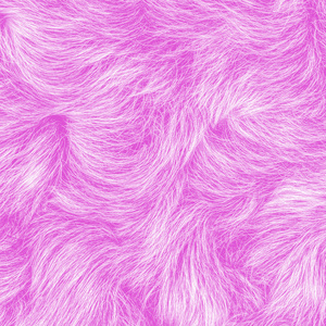 紫罗兰色的皮毛纹理