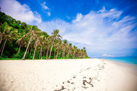 荒岛，棕榈树在白色的海滩和干净的水