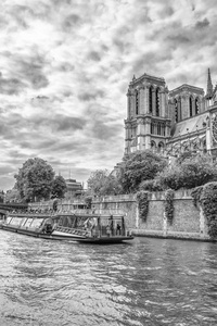 塞纳河从巴黎圣母院圣母院大教堂视图
