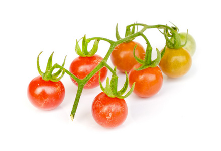 番茄蔬菜
