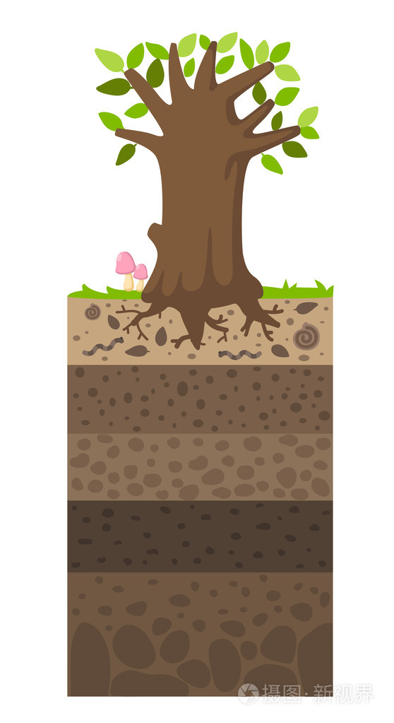 在树下土壤层插画-正版商用图片1fa24l-摄图新视界