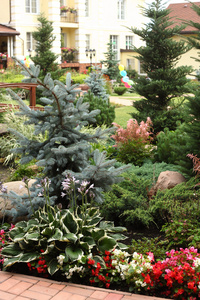 美丽的园景的花园，带有石 松树 蓝色冷杉 百合 花