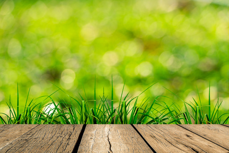 草和木地板春天绿色的景与阳光和木地板的绿草照片