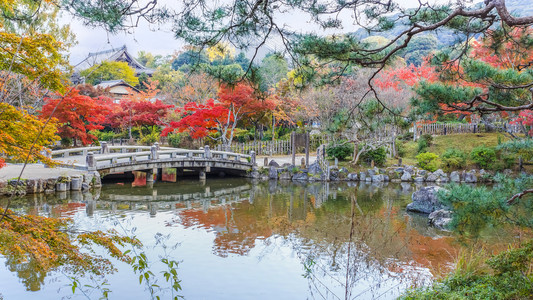 丸山公园 丸山公园 秋天的时候，在京都议定书