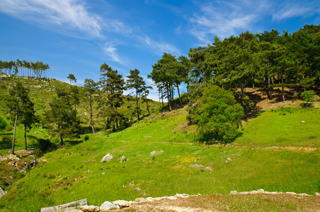 山夏天风景