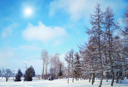 冬季公园的积雪在阳光灿烂的日子