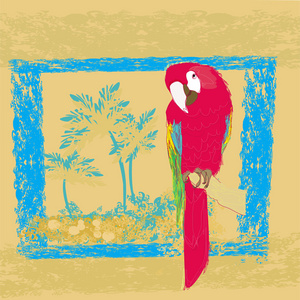 色彩缤纷的鹦鹉鸟坐在海滩上鲈鱼