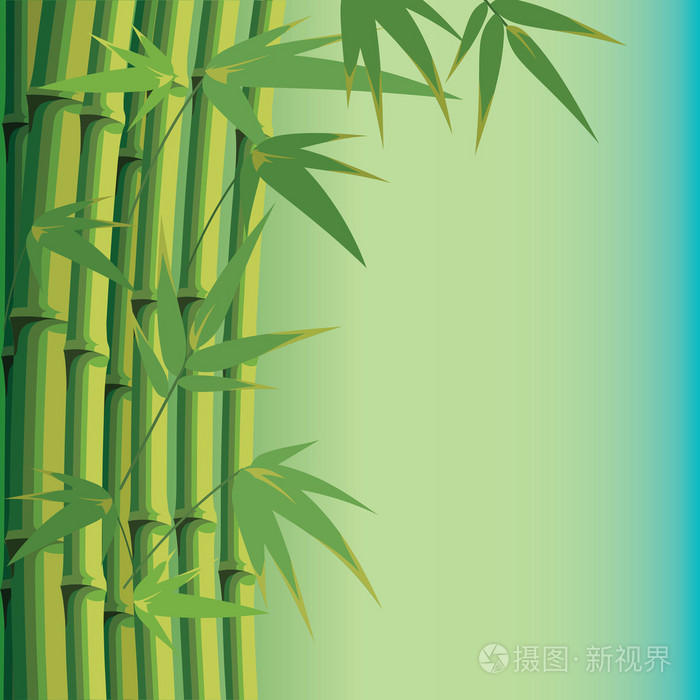 有竹的叶子和茎的背景插画 正版商用图片1faw8r 摄图新视界 有竹的叶子和茎的背景插画 正版商用图片1faw8r 摄图新视界