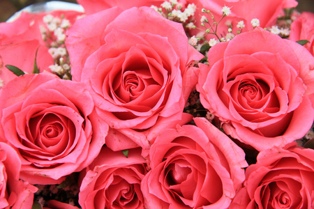 粉色的玫瑰，在新娘的安排