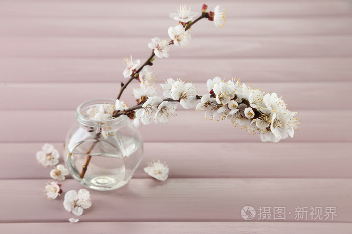 美丽杏花在透明的瓶子 木制的背景上照片 正版商用图片1fb8do 摄图新视界