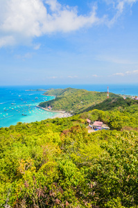 芭堤雅的柯兰岛