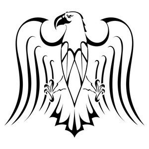 鹰纹身的剪影照片