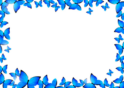 蓝色的蝴蝶边框