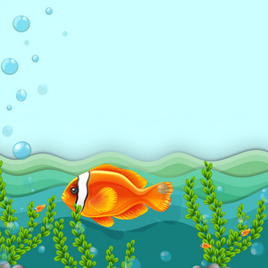 橙色的鱼在海之下
