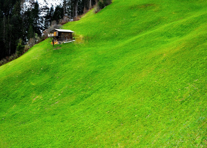 阿尔卑斯山全景