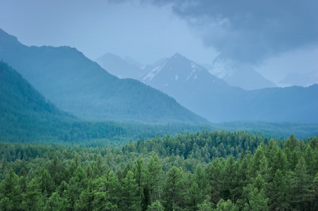 山地森林