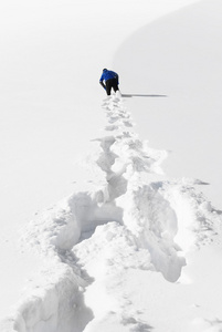 在雪中痕迹