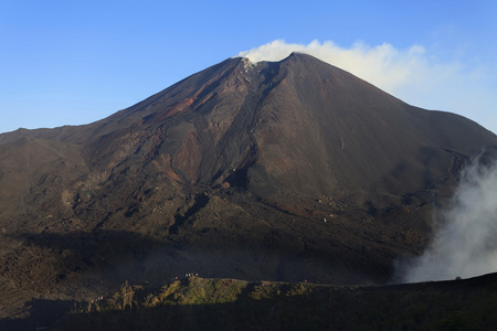 在危地马拉，中美洲的火山帕卡亚